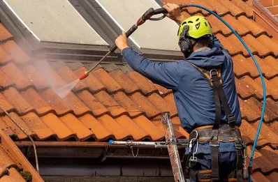 Démoussage et hydrofuge de toiture à Rohan